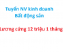 Tuyển nhân viên kinh doanh bất động sản
